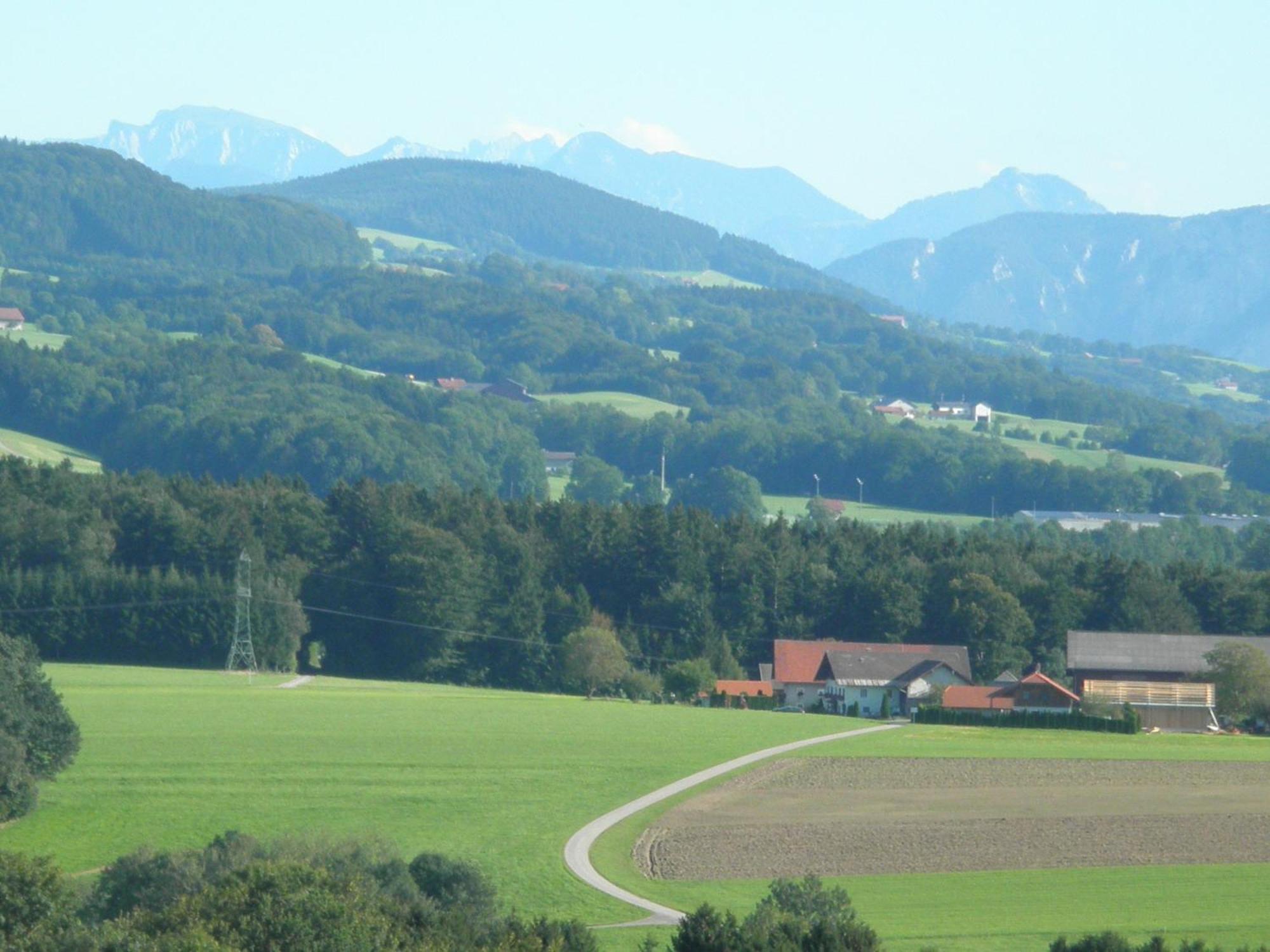Landgasthof Franz Josef Strasswalchen Eksteriør billede